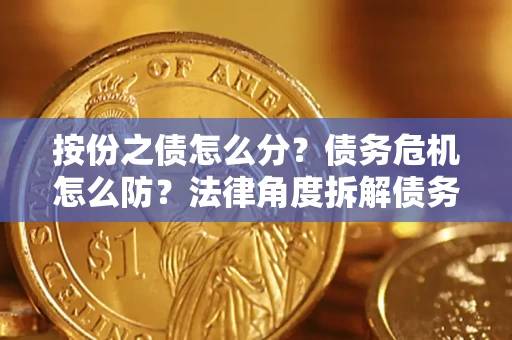 武汉按份之债怎么分？债务危机怎么防？法律角度拆解债务分配与风险自保指南