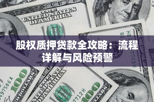 武汉股权质押贷款全攻略：流程详解与风险预警