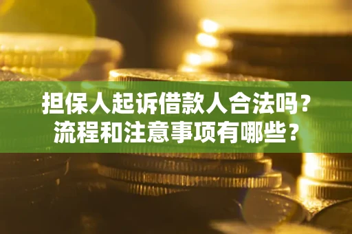 武汉担保人起诉借款人合法吗？流程和注意事项有哪些？