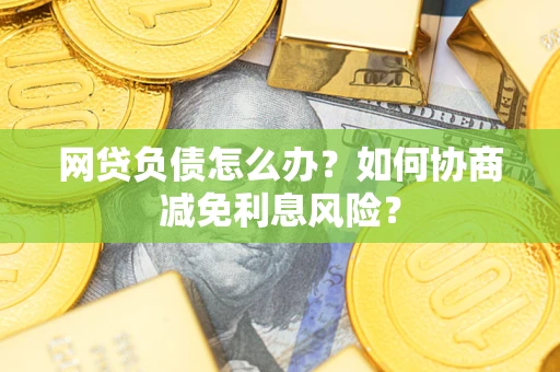 武汉网贷负债怎么办？如何协商减免利息风险？