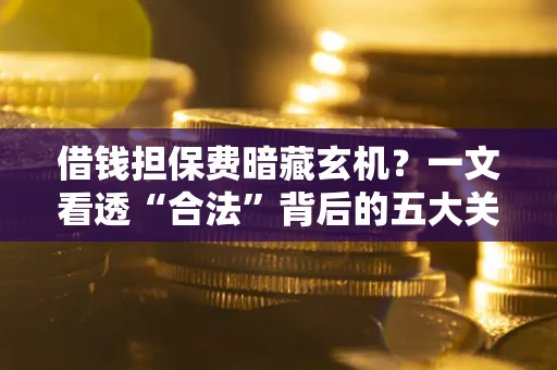 武汉借钱担保费暗藏玄机？一文看透“合法”背后的五大关键陷阱