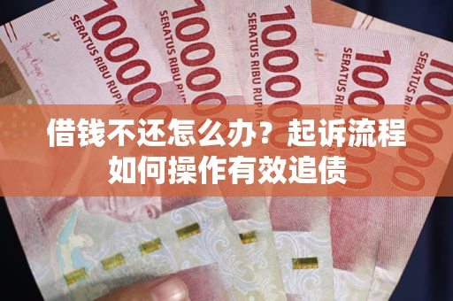 武汉借钱不还怎么办？起诉流程如何操作有效追债