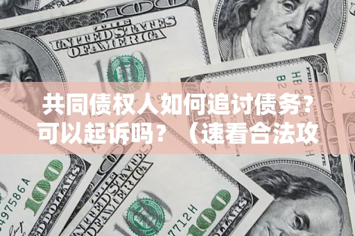 武汉共同债权人如何追讨债务？可以起诉吗？（速看合法攻略）