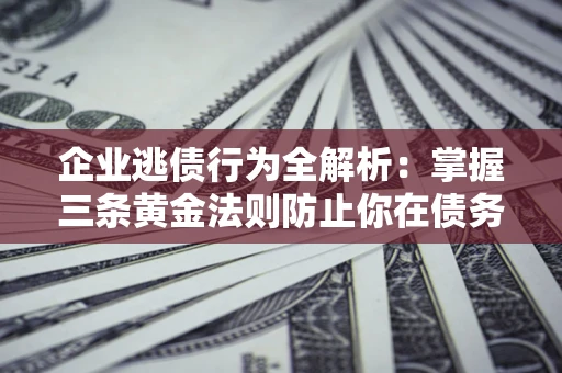 武汉企业逃债行为全解析：掌握三条黄金法则防止你在债务乱局中“踩雷”