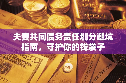 武汉夫妻共同债务责任划分避坑指南，守护你的钱袋子
