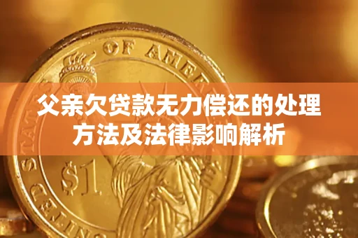 武汉父亲欠贷款无力偿还的处理方法及法律影响解析