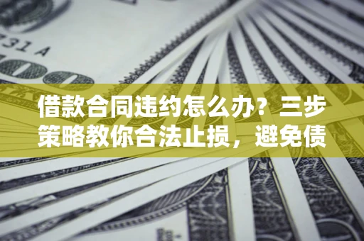 武汉借款合同违约怎么办？三步策略教你合法止损，避免债务危机升级