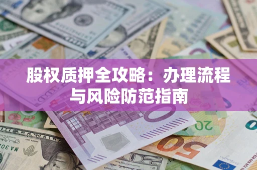 武汉股权质押全攻略：办理流程与风险防范指南