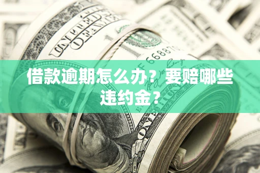 武汉借款逾期怎么办？要赔哪些违约金？