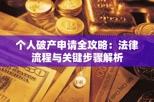 武汉个人破产申请全攻略：法律流程与关键步骤解析
