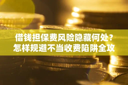 武汉借钱担保费风险隐藏何处？怎样规避不当收费陷阱全攻略！